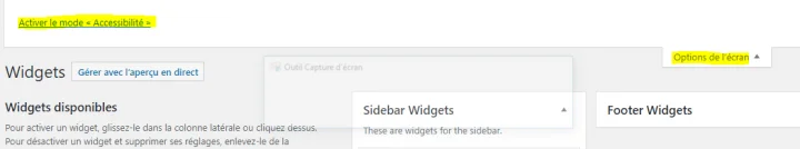 comment activer le mode accessibilité dans les widgets wordpress