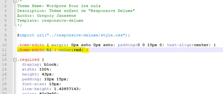 comment modifier le code CSS de mon template wordpress